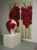 Olieverf op vaas/linnen, Compositie  Gladiolen, vaas  73cm / doek 200x80-65cm