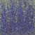 Blauwe Violieren, olieverf op linnen,150x150cm, 1999