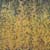 Gele Violieren, olieverf op linnen,150x150cm, 1998