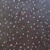 Bloeiende Krent, Fase I, olieverf op linnen, 150x150cm, 2010