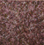 Bloeiende Krent, Fase II, olieverf op linnen, 150x150cm, 2010